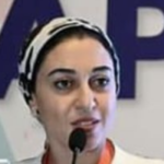 Dina Hassanein