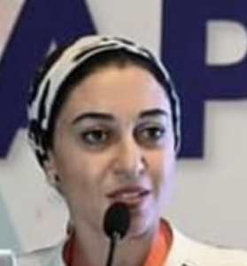 Dina Hassanein